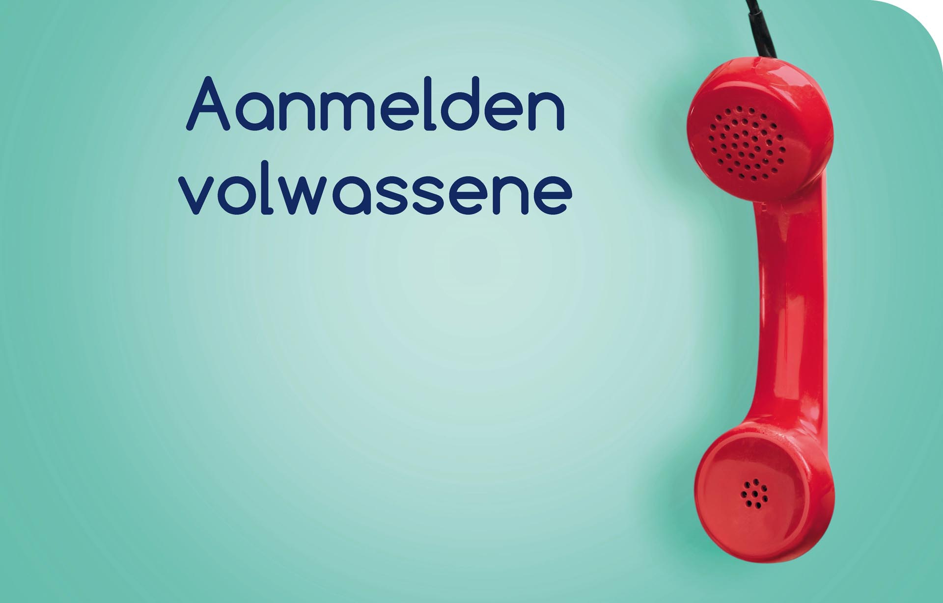 Aanbod volwassenen